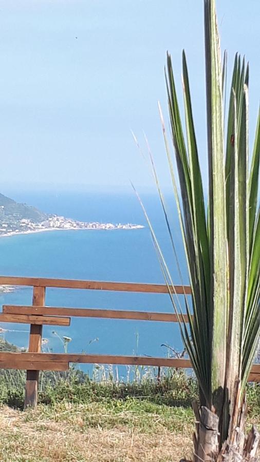 Tenuta Belvedere Cilento Montecorice Eksteriør bilde