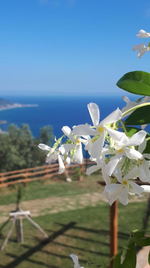Tenuta Belvedere Cilento Montecorice Eksteriør bilde