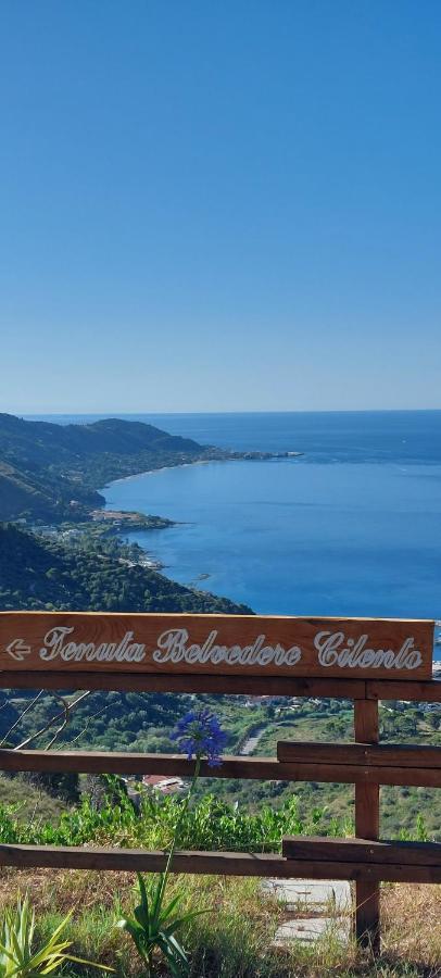 Tenuta Belvedere Cilento Montecorice Eksteriør bilde