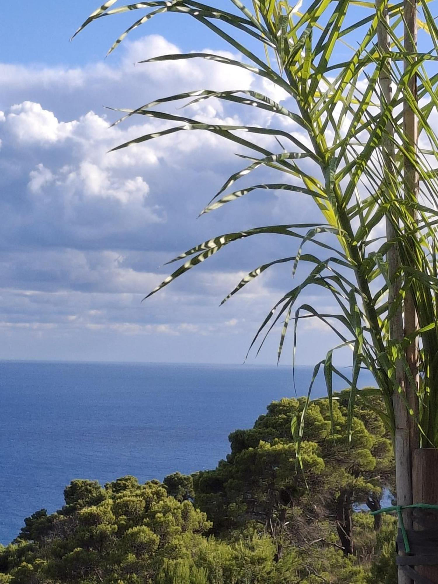 Tenuta Belvedere Cilento Montecorice Eksteriør bilde
